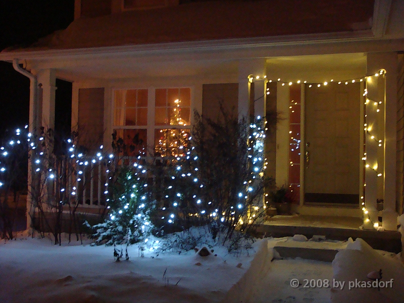 025 A2 Snowfall & Trees [2008 Dec 20].JPG - Our Christmas Trees for 2008.